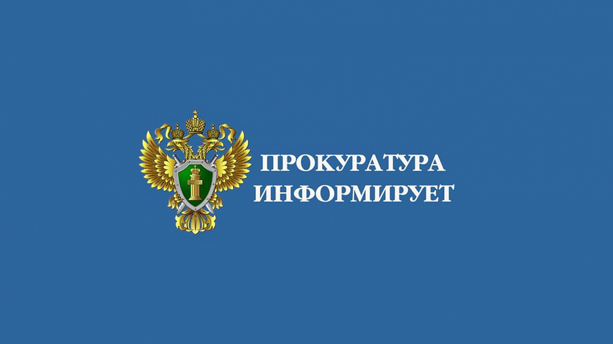 Цифровые инструменты ФНС России: взаимодействие с налоговой онлайн.